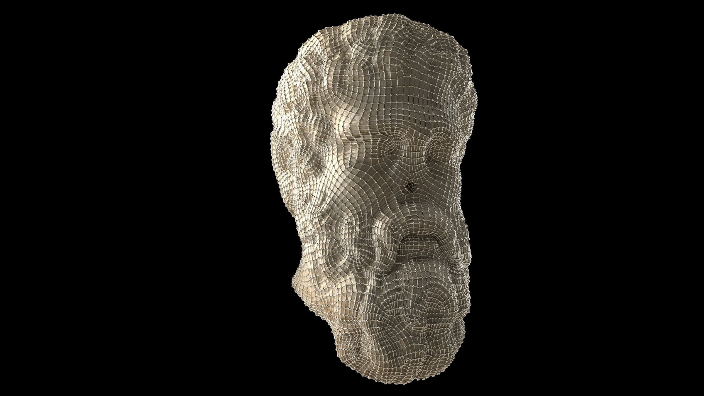The head rebuilt as a dense quadrilateral mesh on black, every contour a wire. Dimitri Daniloff